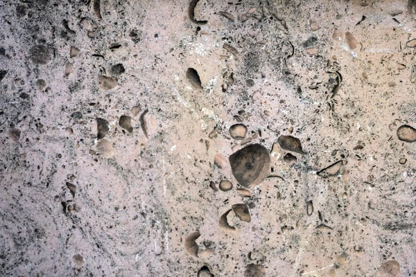 Güzel bej mermer dekoratif duvar panelleri. Yeşil mermer doku duvar. Taş arka plan doku. Taş desen.