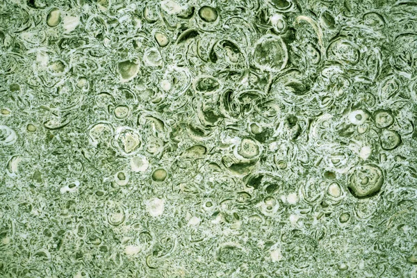 Beautiful green marble luxury decor wall with streaks. Green marble texture wall. Stone background texture. Stone pattern. Abstract seamless background