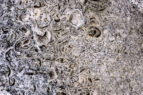 装飾的な石 マクロの樹状突起 生のラフ版 — ストック写真