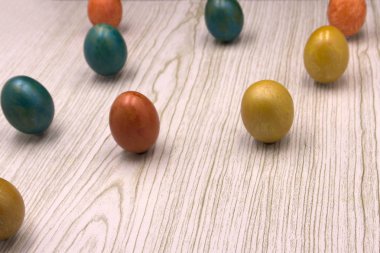 Paskalya yumurta din güvenli deniz hayvanı kabuğu parlak bahar renkli