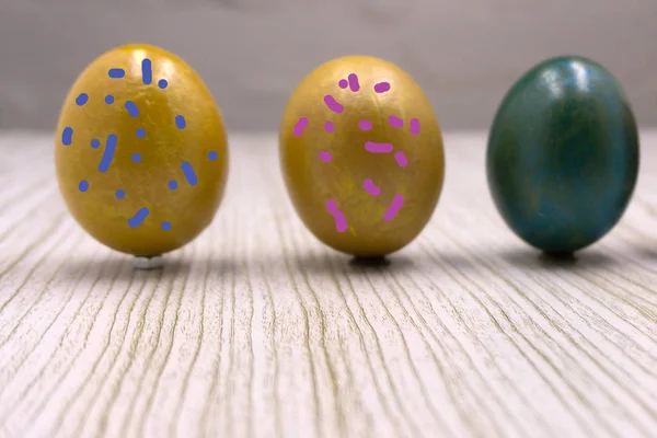 Diferentes Huevos Pascua Coloridos Feliz Fiesta Huevo Gallina Huevos Pintados — Foto de Stock