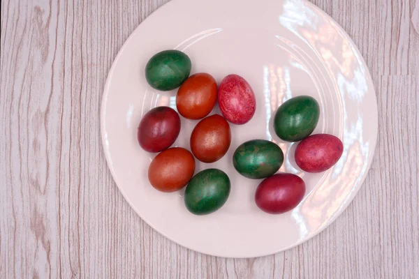 renkli Paskalya yumurta yuva çayır üzerinde