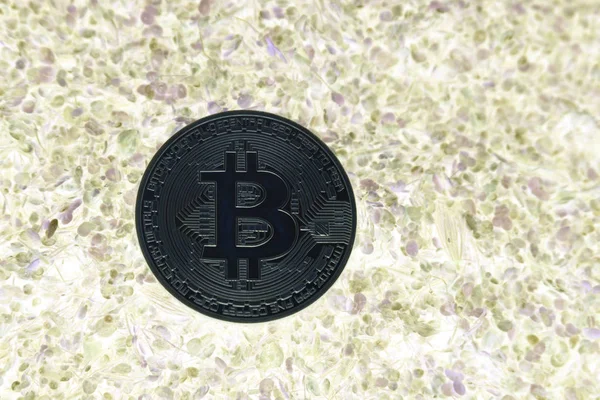 Bitcoin Pantano Verde — Foto de Stock