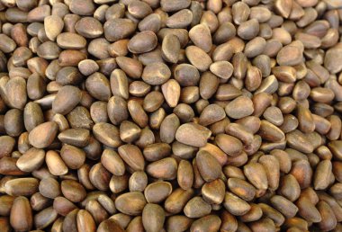 Farklı cevizlerden yapılmış doğal bir arka plan..