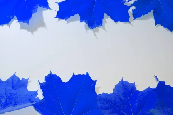 Blue leaf pattern Blue Leaf pattern Texture background of backlight fresh blue Leaf. Leaves falling on ground