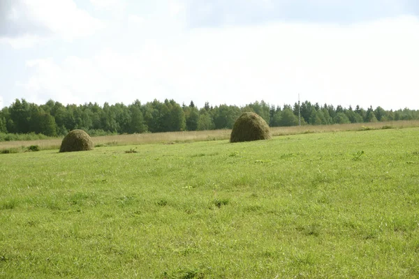 Hooibalen Een Veld Bij Zonsondergang — Stockfoto