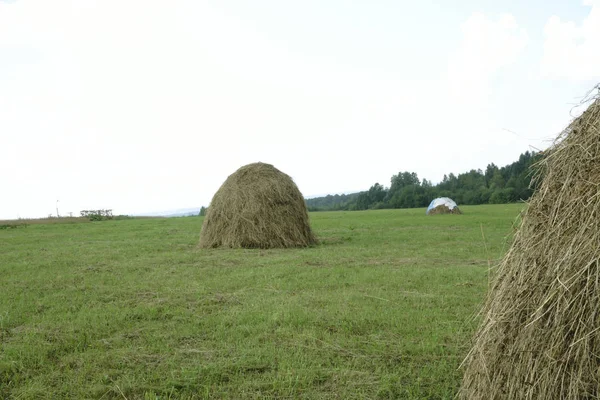 Heuballen Auf Einem Feld Bei Sonnenuntergang — Stockfoto