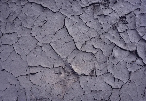 Cracked dry mud earth background texture