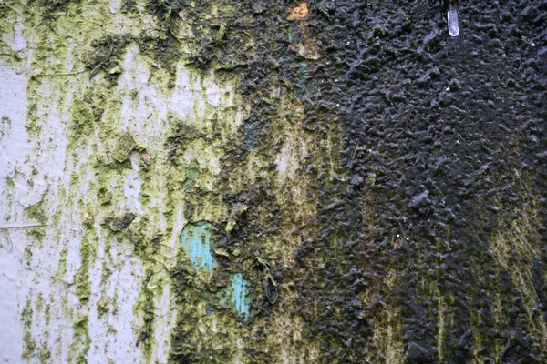 Textura Parede Cinza Verde Com Molde Rachaduras — Fotografia de Stock