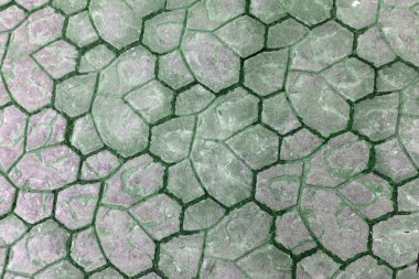 Seramik yer karoları, ark dayanıklı ve pratik