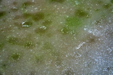 Asfaltta kirli kar izleri, ilk kar, şehir. Kötü ekoloji, kirli kar. Kasım ayında beton döşeme üzerinde ayak izleri. Yolda çok fazla ayak izi var.