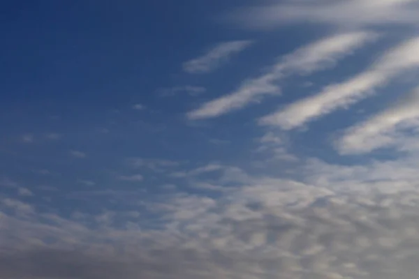 Campo Trigo Cielo Azul Con Nubes — Foto de Stock