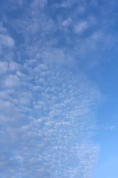 Nubes Esponjosas Blancas Cielo Azul — Foto de Stock