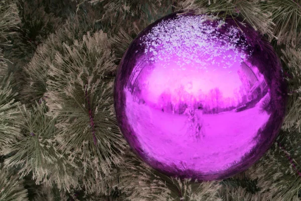 Artificial Spruce Tree Pink Ball Blurred Background — Stock Photo, Image