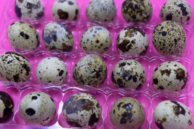 İzole bıldırcın yumurtası. Bıldırcın yumurtası izole kırpma yolu ile beyaz arka plan üzerinde büyük toplama