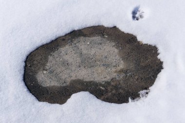 Mock-up dergi veya ahşap tablo katalog. Boş sayfa veya ahşap arka plan üstünde not etmek. Boş sayfa veya Not defteri örnekler veya simülasyonlar için