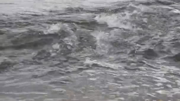 Raging Limpio Río Montaña Fresca Que Fluye Entre Las Rocas — Vídeos de Stock