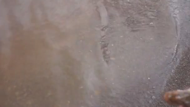 Pêcheur capturé et relâché brochet  .