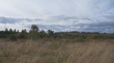 ormandan filizlenmediniz, tepeler ve çayırlar üzerinde ile çam ormanları güneş ışığı altında. Güzel sahne.