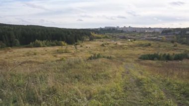 Güzel döşenmiş düşük panoramik çimen, rüzgarda, veren çok kısa yeşil bitki üzerinde mat parlaklık, film için mükemmel dijital kompozisyon, projeksiyon görüntü izole .