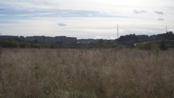 Dry Grass Background City Passing Cars — Stock Video