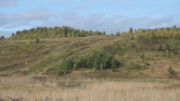 Een Beige Veld Tegen Een Mooie Blauwe Hemel Met Wolken — Stockvideo