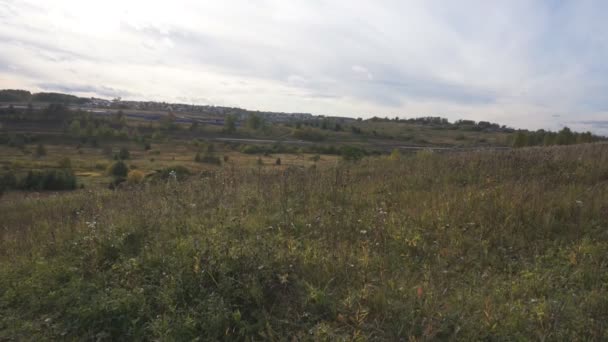 Une vue majestueuse sur la lumière du soleil brille sur les feuilles des plantes. Champs à flanc de colline. Beaux paysages de la nature  .