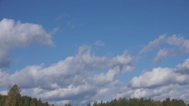 Naadloze Wolken Cycli Blauwe Hemel — Stockvideo