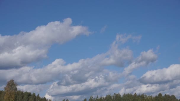 Uçuş Bulutlar Döngü Güçlü Animasyon Üzerinde — Stok video