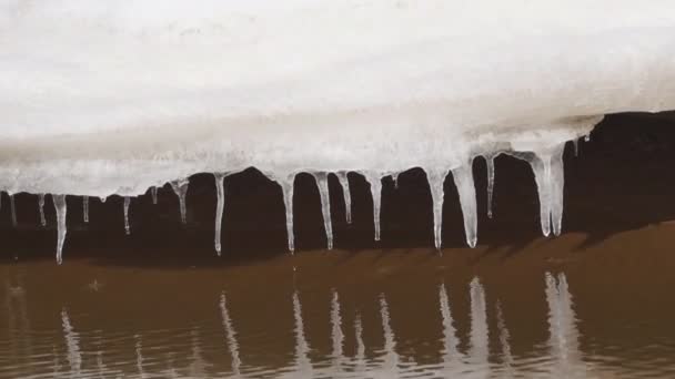 Goteo Carámbanos Derretimiento Carámbanos Carámbanos Colgando Del Techo Gotas Primavera — Vídeos de Stock