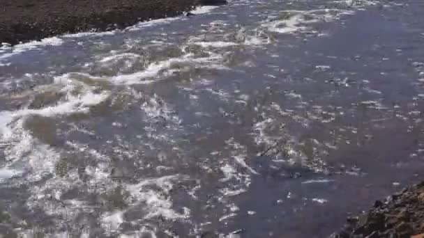 Lit Rocheux Dans Une Partie Peu Profonde Rivière Shallow Rapids — Video