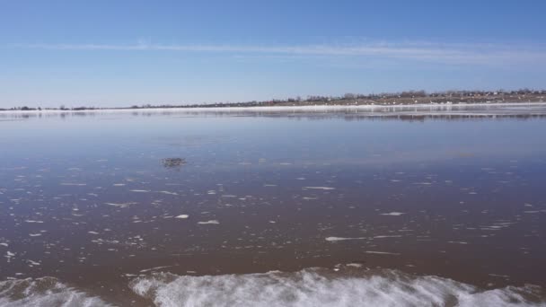 Kampf Der Fischer Mit Den Fischen Wasser — Stockvideo