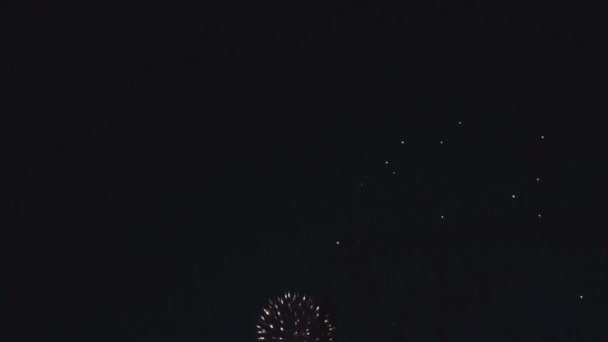 Feuerwerk Bastille Tag Geburtstag — Stockvideo