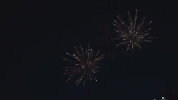 Rood Blauw Vuurwerk Donkere Hemel — Stockvideo