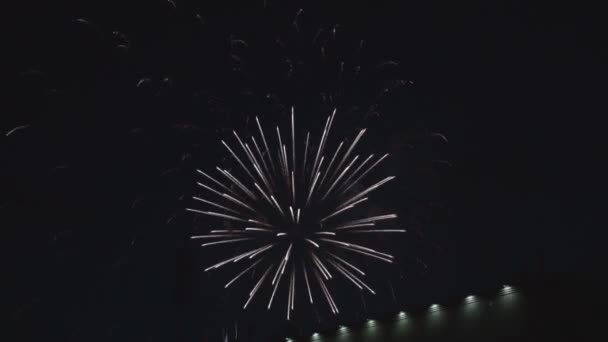 Feuerwerk Beliebt Empfohlene Spitze Unsichtbar Himmel — Stockvideo