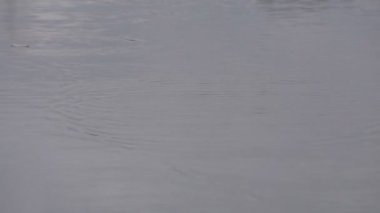 Dalgalar float yakın çekim .