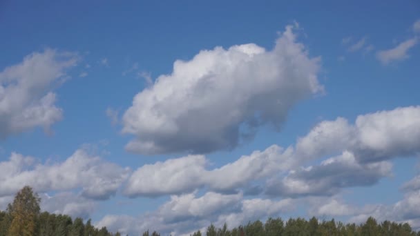 Vuelo Sobre Nubes Animación Loop Able — Vídeo de stock