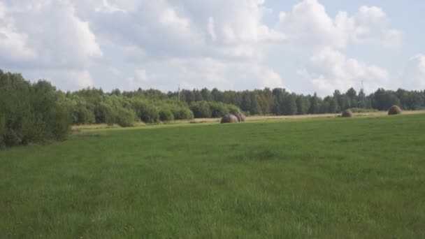 Tractor Conduce Lentamente Tractor Sobre Césped Cortado Día Soleado Hermoso — Vídeo de stock