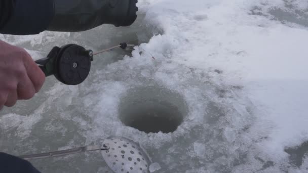 男子钓鱼钓鱼杆上冬季捕鱼 — 图库视频影像