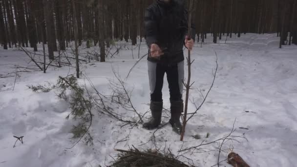 Hromada Sekané Dříví Lese Příprava Palivového Dřeva Zimu — Stock video