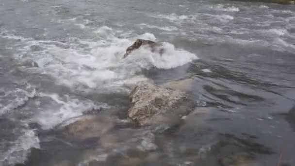 女孩漂流在河上秋天鱼 — 图库视频影像