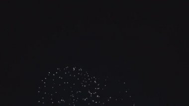 Gece karanlık gökyüzünde havai fişek .