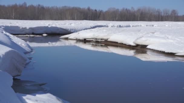 Vinter Snö Väder Stora Block Flöde Aktuell Ner Floden Mellan — Stockvideo