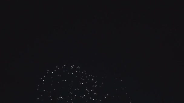 夜晚黑暗的天空中的烟火 — 图库视频影像