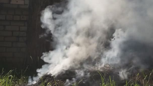 Καύση Αυστραλιανή Bushfire Τοπίο Στην Βόρεια Επικράτεια Ξηρή Περίοδο Ελεγχόμενο — Αρχείο Βίντεο
