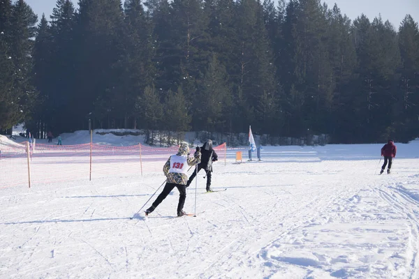 Skiers during a nordic skiing marathon ski