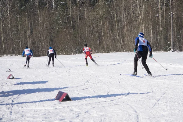 Ski Vintersol Semester Snö Skidåkare Och Kul — Stockfoto