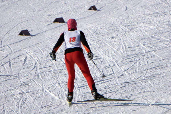 Esquiador Nórdico Rojo Naturaleza Blanca Del Invierno Lleno Nieve Deporte —  Fotos de Stock