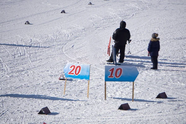 Profesionální Soutěže Běhu Lyžích Světa Ski Racing Championship Koncepční Obrázek — Stock fotografie