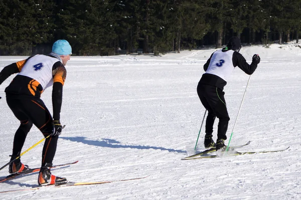 北欧滑雪 冬季假期在阿尔卑斯山 越野滑雪者在山区 — 图库照片